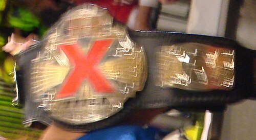 TNA X Division Championship