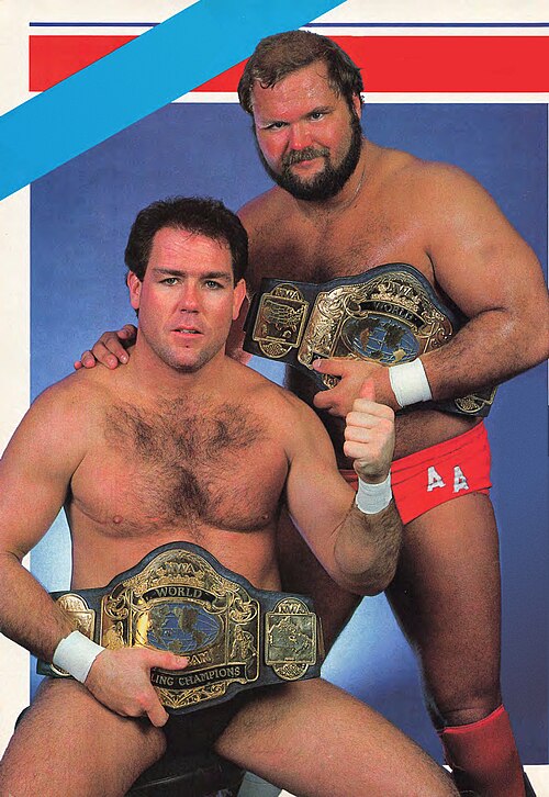 WCW World Tag Team Championship