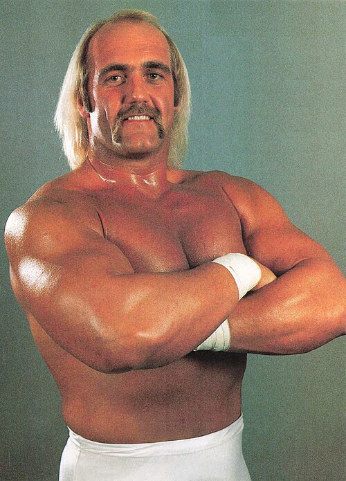 Hollywood Hulk Hogan